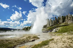 Grand Geyser, Upper Geyser Basin, Yellowstone National Park, Wyoming, USA Grand Geyser, Upper Geyser Basin, Yellowstone National Park, Wyoming, USA