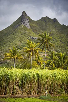 Grand Port district, East Coast, Mauritius Grand Port district, East Coast, Mauritius