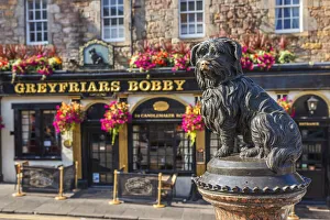 Greyfriars Bobby Statue Print, Edinburgh, Scotland