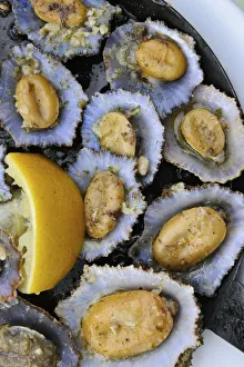 Grilled limpets. Porto Moniz, Madeira. Portugal Grilled limpets. Porto Moniz, Madeira. Portugal