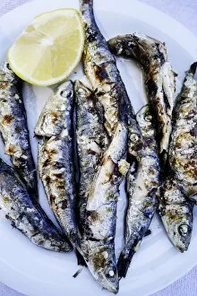 Images Dated 1st April 2014: Grilled Sardines. Speciality of Mytilni, Lesbos, Greece