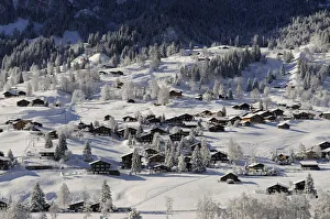 Grindelwald, Bernese Oberland, Switzerland Grindelwald, Bernese Oberland, Switzerland