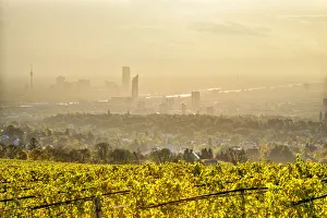 Grinzing, Vienna, Austria, Europe. View at sunrise from the vineyards around Grinzing Grinzing, Vienna, Austria, Europe. View at sunrise from the vineyards around Grinzing