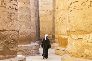 Guardian at the Karnak Temple, Luxor, Egypt, Africa