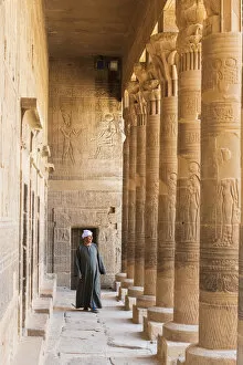 Lake Nasser Gallery: Guradian at the Temple of Philae on an island in Lake Nasser, Nile River, Aswan, Egypt