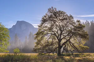 Half Dome from Cooks Meadow in Yosemite National Park, California, USA. Autumn Half Dome from Cooks Meadow in Yosemite National Park, California, USA. Autumn