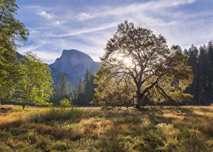 Half Dome from Cooks Meadow, Yosemite Valley, California, USA. Autumn (October) 2015 Half Dome from Cooks Meadow, Yosemite Valley, California, USA. Autumn (October) 2015