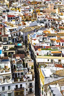 A high view of Seville streets and palaces, from Giralda Tower A high view of Seville streets and palaces, from Giralda Tower