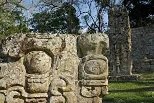 Honduran Gallery: Honduras, Copan, Maya Ruins of Copan, a UNESCO World Heritage Site