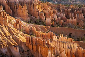 Hoodoos in Bryce Canyon amphitheater after sunrise, Sunset Point Hoodoos in Bryce Canyon amphitheater after sunrise, Sunset Point