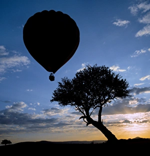 A hot air balloon takes off in Masai Mara Game Reserve A hot air balloon takes off in Masai Mara Game Reserve