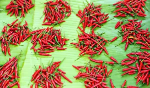 Hot chili peppers, Kyaing Tong market, Burma (Myanmar) Hot chili peppers, Kyaing Tong market, Burma (Myanmar)