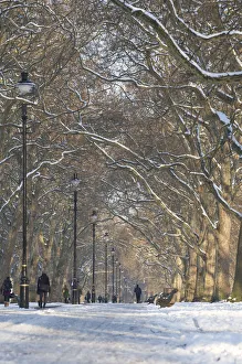 Hyde Park Snow Scene, London, England, UK Hyde Park Snow Scene, London, England, UK