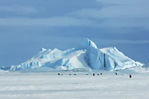 Iceberg and emperor penguins - Antarctica, Antarctic Peninsula, Snowhill Island Iceberg and emperor penguins - Antarctica, Antarctic Peninsula, Snowhill Island