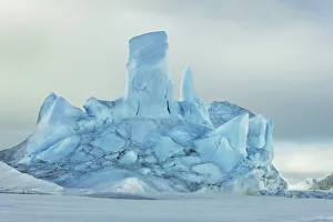 Iceberg frozen in pack ice - Antarctica, Antarctic Peninsula, Snowhill Island Iceberg frozen in pack ice - Antarctica, Antarctic Peninsula, Snowhill Island
