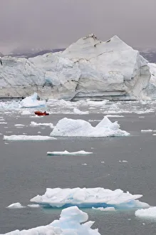 Icebergs in the Johan- Petersen Fjord, Greenland Icebergs in the Johan- Petersen Fjord, Greenland