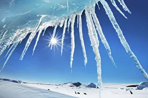 Icicle at iceberg - Antarctica, Antarctic Peninsula, Snowhill Island Icicle at iceberg - Antarctica, Antarctic Peninsula, Snowhill Island