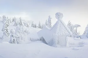 Icy Chapel and snow covered Spruce trees, Bavarian Forest, Big Arber, Bavaria, Germany Icy Chapel and snow covered Spruce trees, Bavarian Forest, Big Arber, Bavaria, Germany