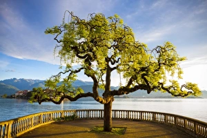 Idyllic lakeside park & Isola Bella, Borromean Islands, Lake Maggiore, Piedmont, Italy Idyllic lakeside park & Isola Bella, Borromean Islands, Lake Maggiore, Piedmont, Italy