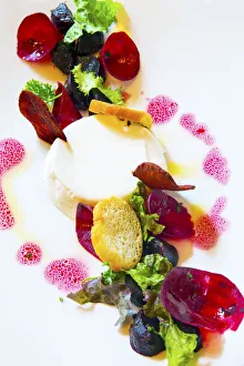 India, Maharashtra, Mumbai, Indigo restaurant, Baby Beets Horseradish Pana Cotta India, Maharashtra, Mumbai, Indigo restaurant, Baby Beets Horseradish Pana Cotta
