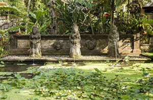Indonesia, Bali, Ubud, Fountain; Lotus pond Indonesia, Bali, Ubud, Fountain; Lotus pond