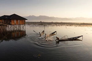 Myanmar Collection: Intha fisherman beat water, Inle Lake, Shan State, Myanmar