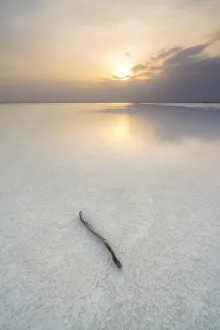 Isolated wood stick in salt desert on Lake Karum at sunset, Dallol, Danakil Depression Isolated wood stick in salt desert on Lake Karum at sunset, Dallol, Danakil Depression