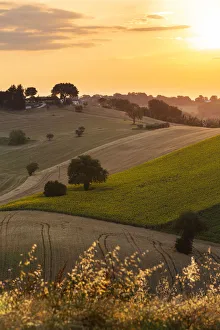 Italy, Marche. Macerata district. Corridonia Italy, Marche. Macerata district. Corridonia