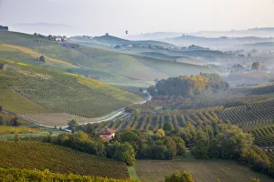 Italy, Piedmont (Piemonte), Cuneo District, Langhe, hot air balloons fly over valley Italy, Piedmont (Piemonte), Cuneo District, Langhe, hot air balloons fly over valley