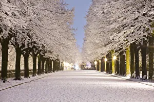 Italy, Umbria, Terni district, Terni, passeggiata , public garden in winter Italy, Umbria, Terni district, Terni, passeggiata , public garden in winter
