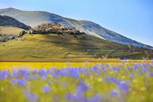 Images Dated 17th June 2012: Italy, Umbria, Village of Castelluccio seen above fields of cornflowers