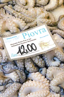 Italy, Veneto, Venice, Rialto Fish Market Italy, Veneto, Venice, Rialto Fish Market