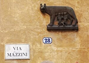 Images Dated 17th June 2008: Italy, Veneto, Verona, Western Europe; The symbol of Rome, on a wall named after statesman
