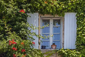 Ivy surrounded house window in Provence, France Ivy surrounded house window in Provence, France