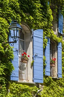 Ivy surrounded house windows in Provence, France Ivy surrounded house windows in Provence, France