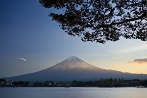 Images Dated 10th November 2009: Japan, Honshu Island, Kawaguchi Ko Lake, Mt. Fuji and Maple Trees