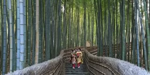 Images Dated 8th April 2015: Japan, Kyoto, Arashiyama, Adashino Nembutsu-ji Temple, Bamboo Forest