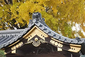 Japan, Kyoto, Nishi-Honganji Temple, Detail of Roof and Autumn Leaves Japan, Kyoto, Nishi-Honganji Temple, Detail of Roof and Autumn Leaves