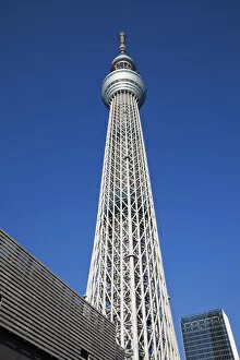 Images Dated 22nd December 2011: Japan, Tokyo, Asakusa, Sky Tree Tower, Architect Nikken Sekkei
