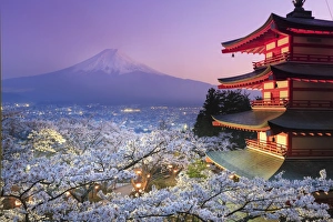 Images Dated 17th April 2015: Japan, Yamanashi Prefecture, Fuji-Yoshida, Chureito Pagoda, Mt Fuji and Cherry Blossoms