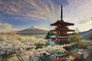 Images Dated 17th April 2015: Japan, Yamanashi Prefecture, Fuji-Yoshida, Chureito Pagoda, Mt Fuji and Cherry Blossoms