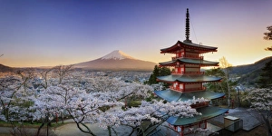 Images Dated 17th April 2015: Japan, Yamanashi Prefecture, Fuji-Yoshida, Chureito Pagoda, Mt Fuji and Cherry Blossoms