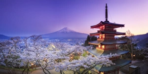 Images Dated 17th April 2015: Japan, Yamanashi Prefecture, Fuji-Yoshida, Chureito Pagoda, Mt Fuji and Cherry Blossoms