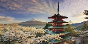 Images Dated 17th April 2015: Japan, Yamanashi Prefecture, Fuji-Yoshida, Chureito Pagoda, Mt Fuji and Cherry Blossoms