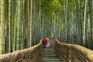 Japanese Couple on Steps Through Bamboo Forest, Adashino Nembutsu-ji Temple, Arashiyama Japanese Couple on Steps Through Bamboo Forest, Adashino Nembutsu-ji Temple, Arashiyama