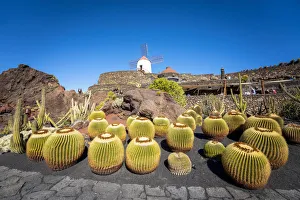 Jardin de Cactus, garden by Cesar Manrique. Lanzarote, Canary Islands, Spain Jardin de Cactus, garden by Cesar Manrique. Lanzarote, Canary Islands, Spain