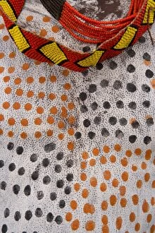 Images Dated 8th February 2006: Karo Tribesman, body paint (detail), Lower Omo Valley, Ethiopia
