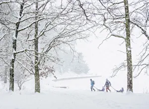 Kids on sledges by the Zemborzycki lakefront at snowstorm, Lublin, Lublin Voivodeship Kids on sledges by the Zemborzycki lakefront at snowstorm, Lublin, Lublin Voivodeship