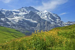 Kleine Scheidegg with Jungfrau, Bernese Alps, Berner Oberland, Grindelwald, canton Berne Kleine Scheidegg with Jungfrau, Bernese Alps, Berner Oberland, Grindelwald, canton Berne