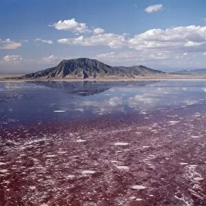 Images Dated 10th February 2009: Lake Natron in northern Tanzania